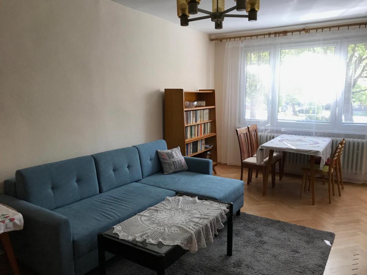 Sunny Appartment By The River Dolny Kubin Exterior foto